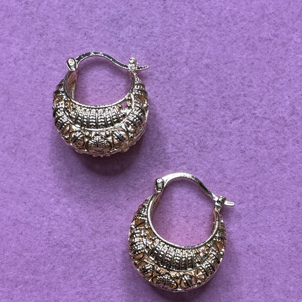 Elegant Hoop Earrings